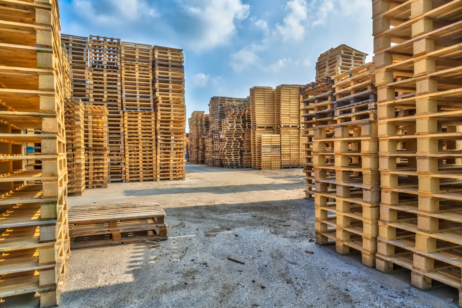 Stacks of used wooden pallets at a commercial pallet yard